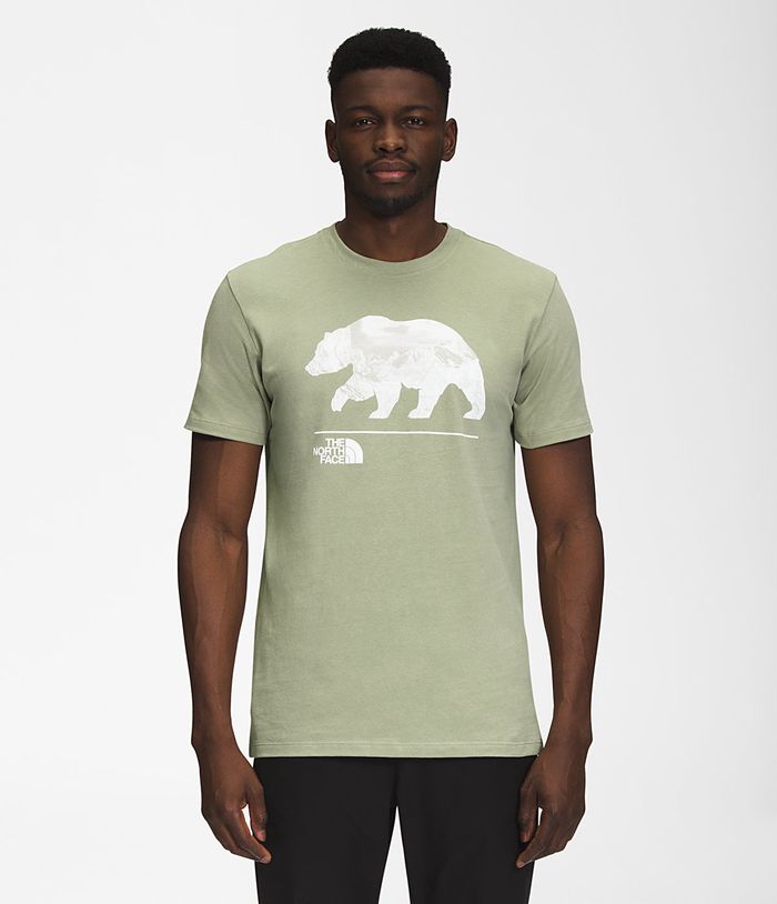 Camiseta The North Face Hombre Bearscape Manga corta Verde - Peru 90187DJQK